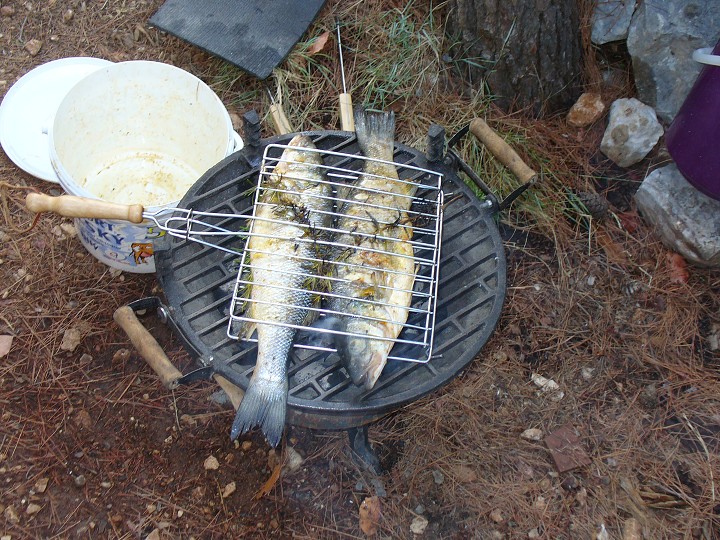 img00012.jpg