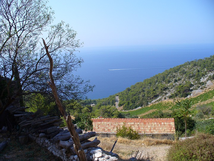 img00015.jpg