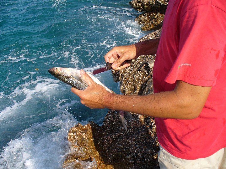 img00017.jpg