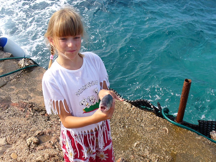 img00019.jpg