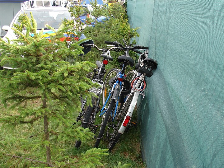 img00006.jpg