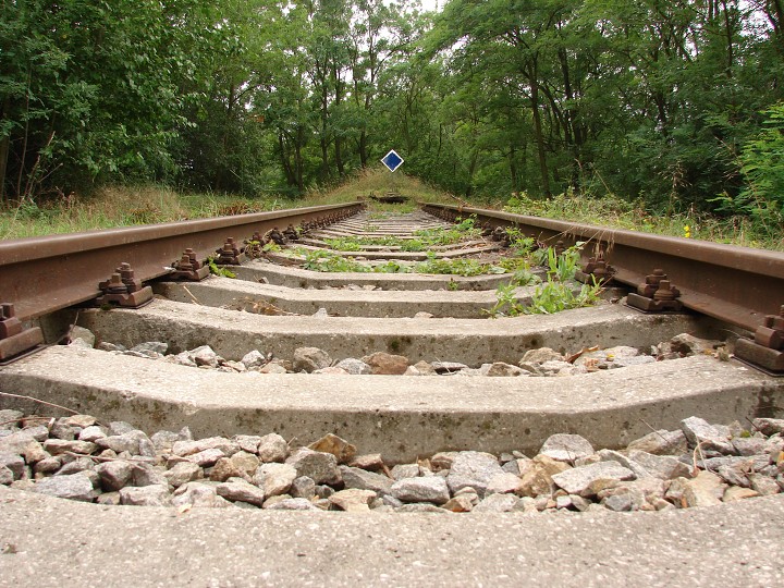 img00014.jpg