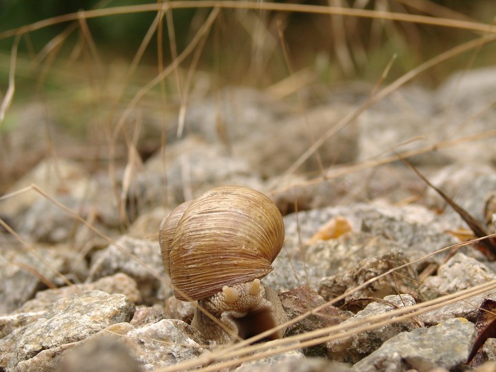 img00015.jpg