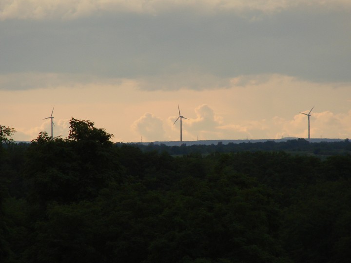 img00026.jpg