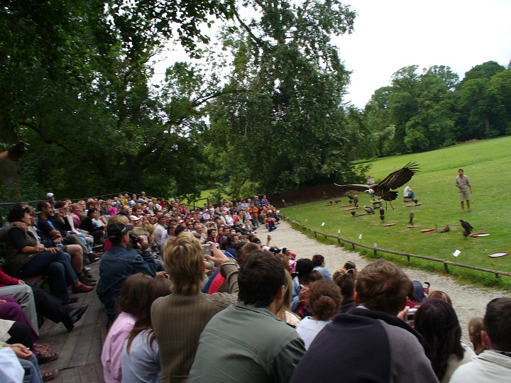 img00037.jpg