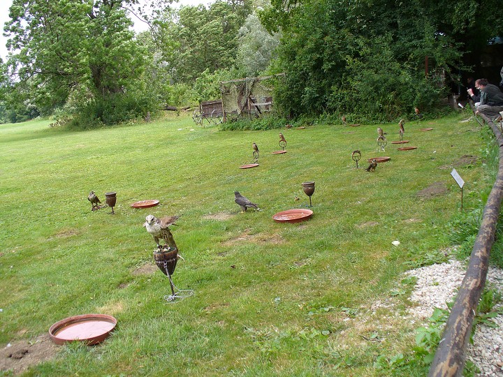 img00040.jpg