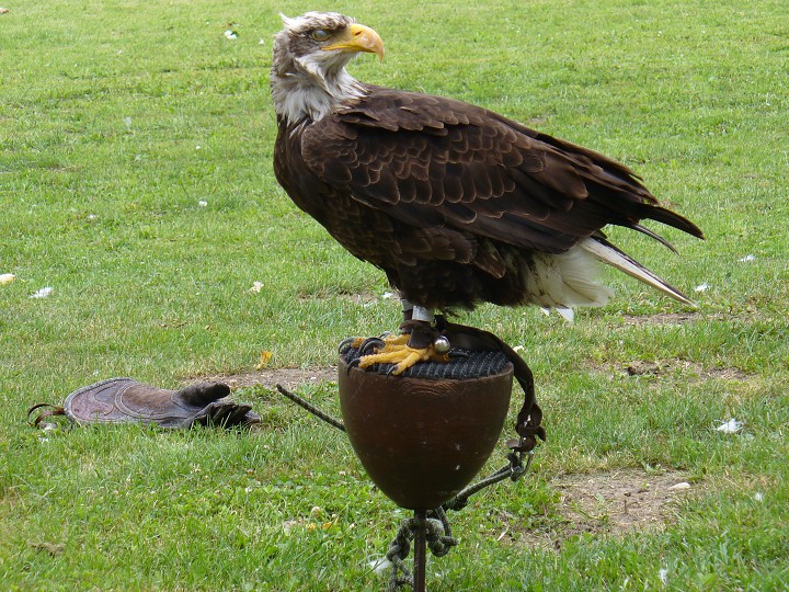 img00042.jpg