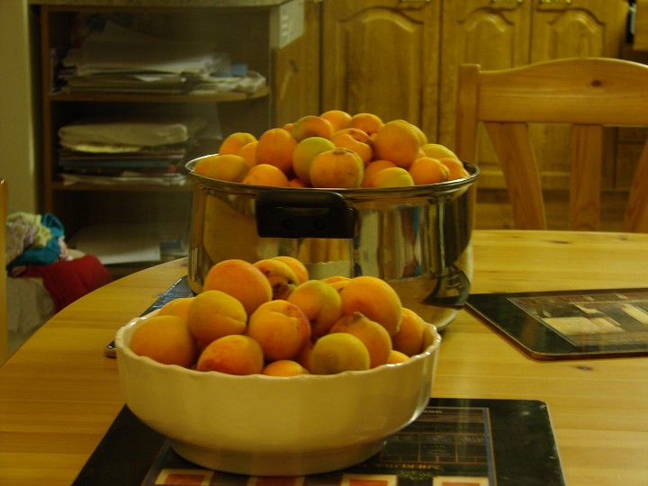 img00052.jpg