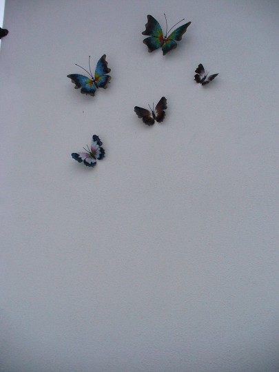 img00015.jpg