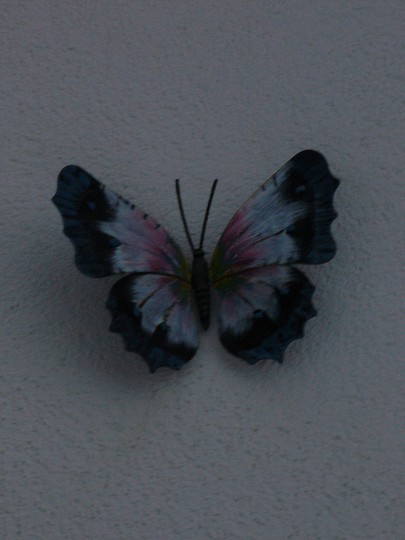 img00016.jpg