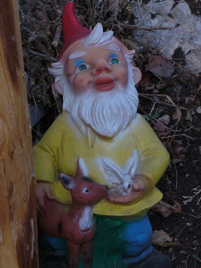 img00027.jpg