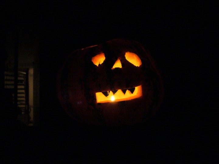 img00013.jpg