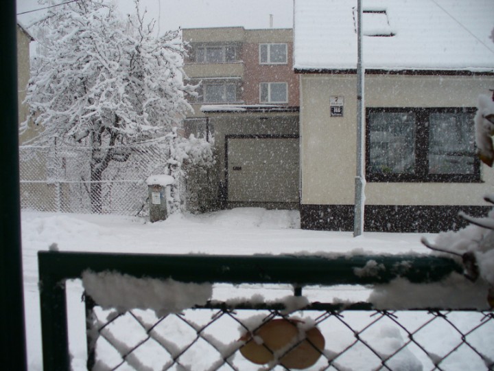 img00015.jpg