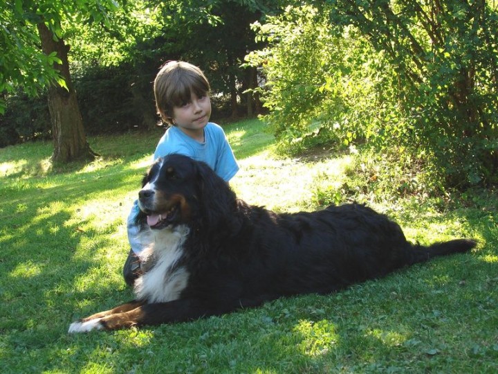 img00009.jpg