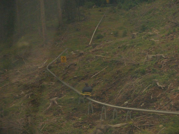 img00075.jpg