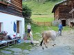 26. dubna 2009 9:27:40