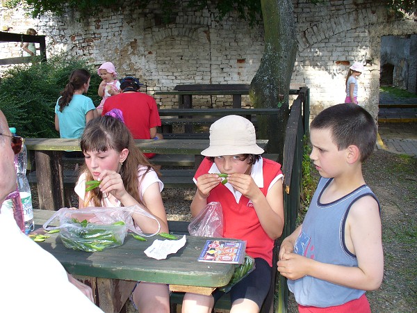 img00006.jpg