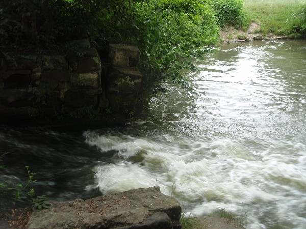 img00015.jpg