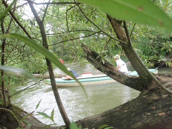 img00020.jpg