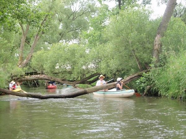 img00022.jpg