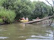 6. července 2008 21:03:34