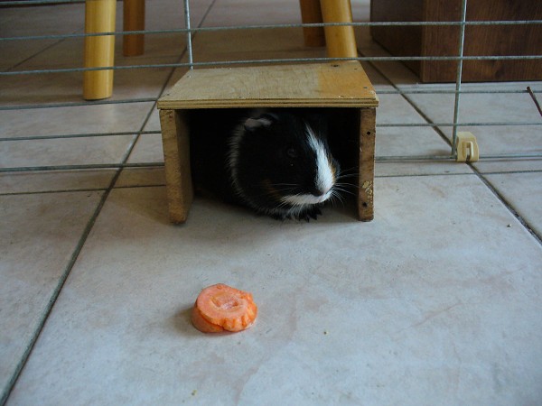 img00014.jpg