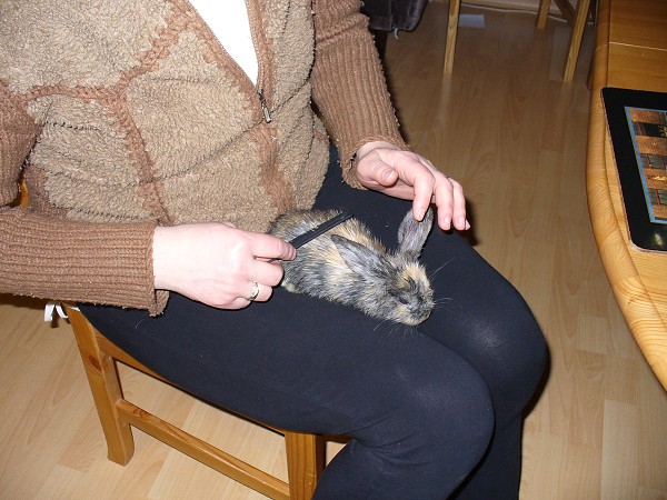 img00032.jpg