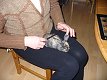 4. dubna 2008 22:12:08