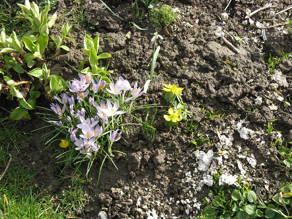 img00003.jpg