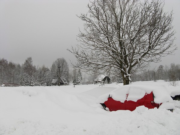 img00009.jpg