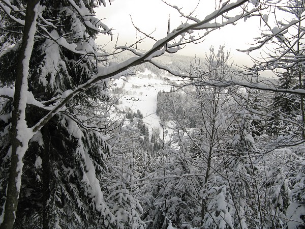 img00015.jpg