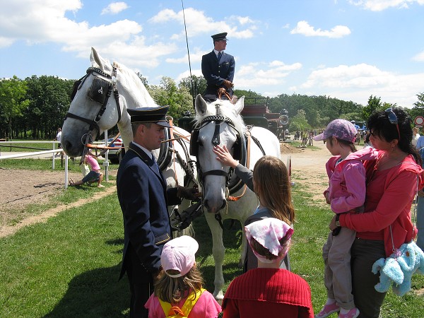 img00026.jpg