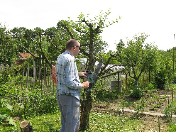 img00051.jpg