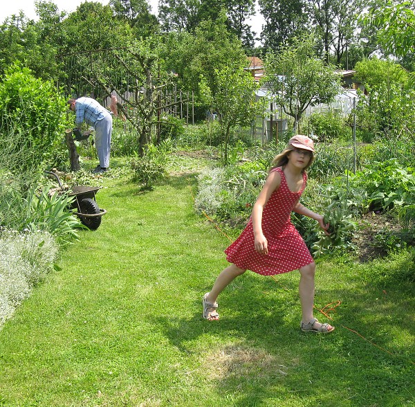 img00052.jpg