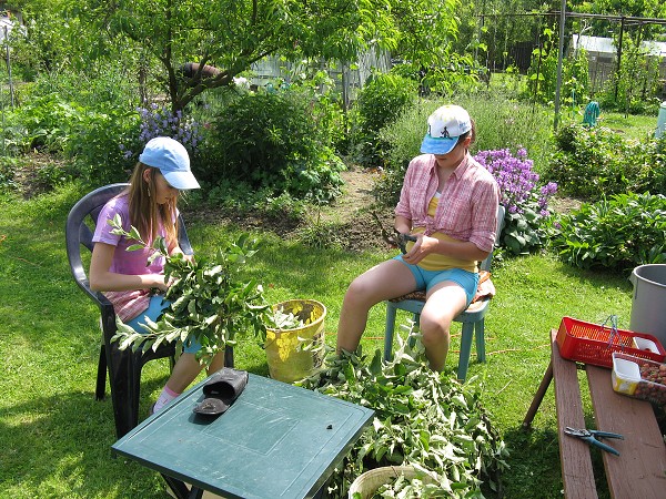 img00053.jpg