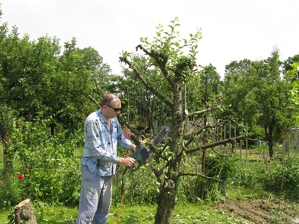 img00054.jpg