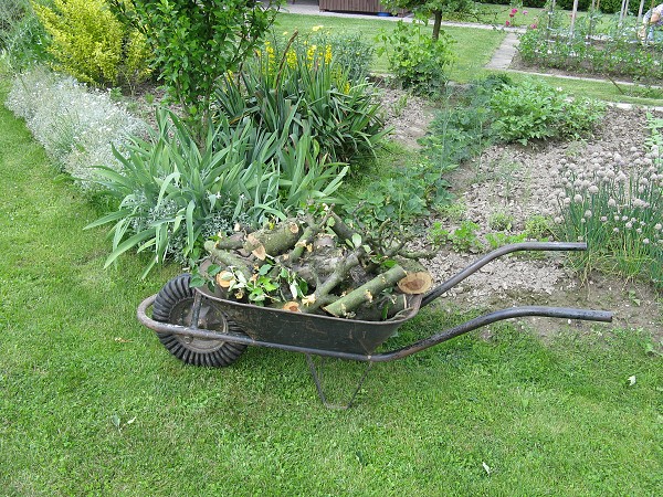img00057.jpg