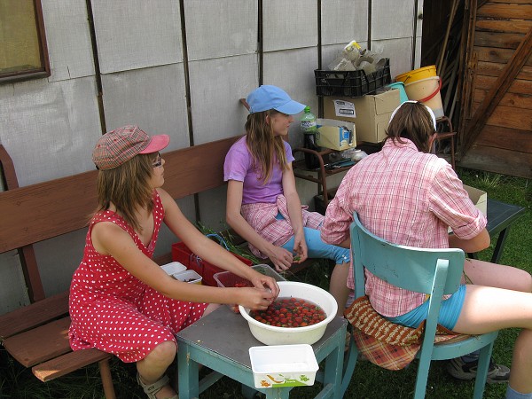 img00058.jpg