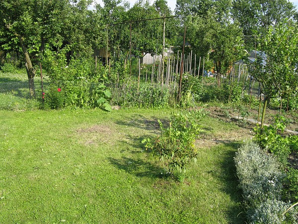img00059.jpg