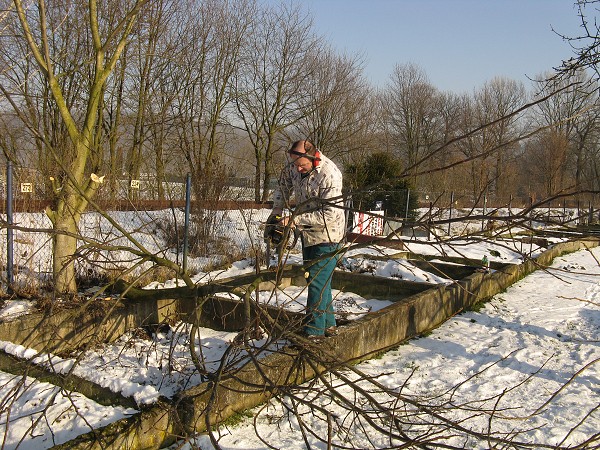 img00016.jpg