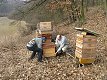 27. února 2011 11:03:53