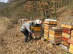 27. února 2011 11:11:37