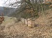 27. února 2011 11:26:35