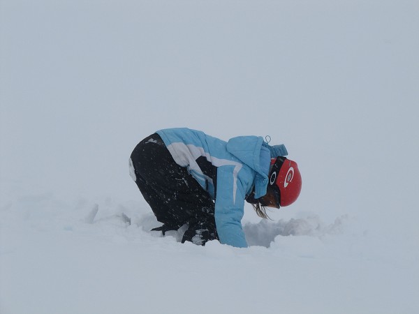 img00015.jpg