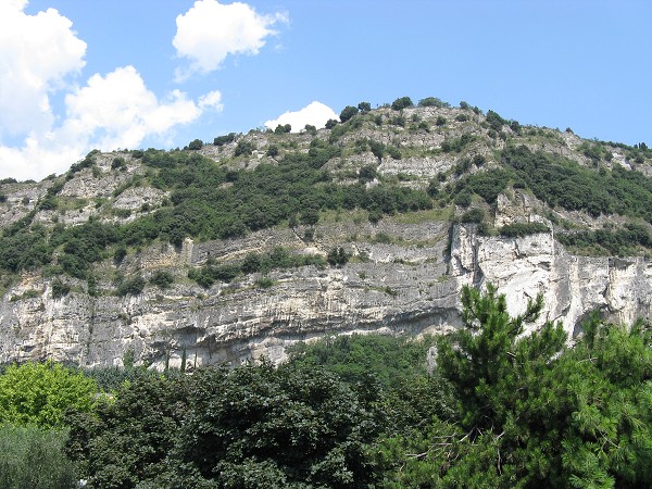 img00009.jpg