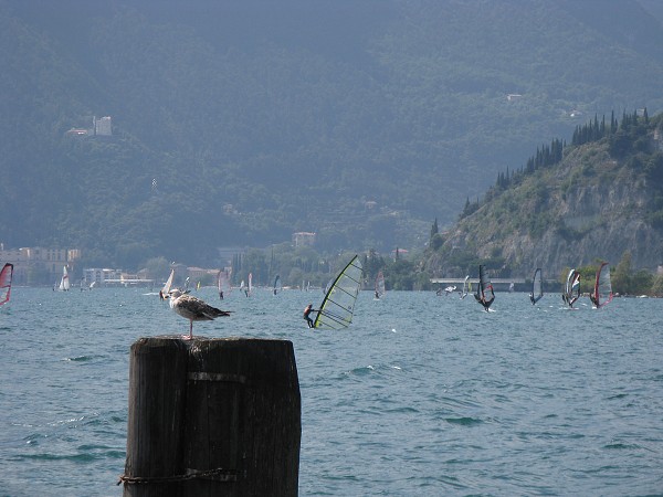 img00045.jpg