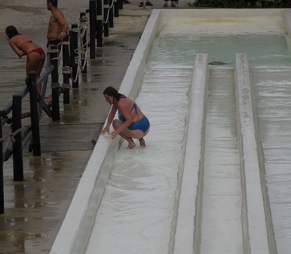 img00063.jpg