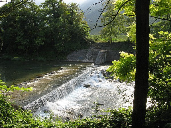 img00073.jpg