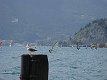 10. července 2011 16:10:08