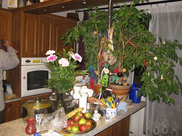 img00049.jpg